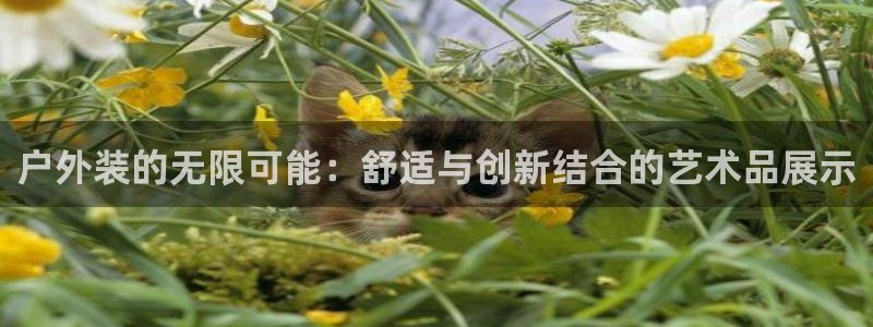 必乐2平台19发指尖