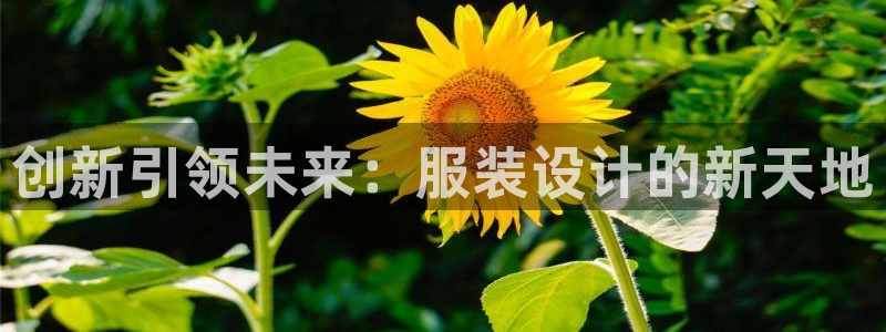 乐发彩票平台正式版下载