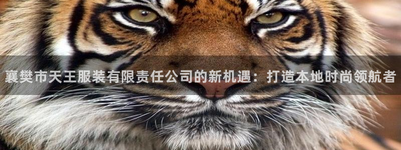 宾果彩票平台乐发