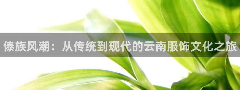 乐发平台今天咋打不开
