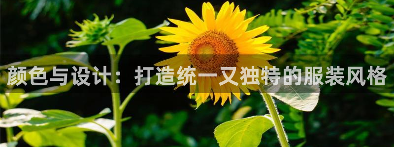 乐发彩票娱乐平台