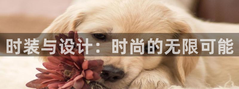 乐发平台a