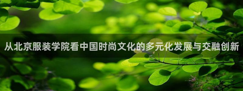 必发误乐黑平台