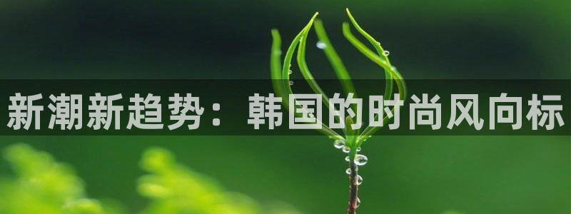 乐发平台彩票官网