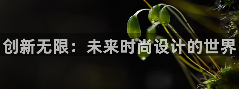 乐发彩票计划平台