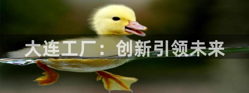 乐发平台