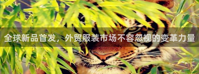 乐发快三平台