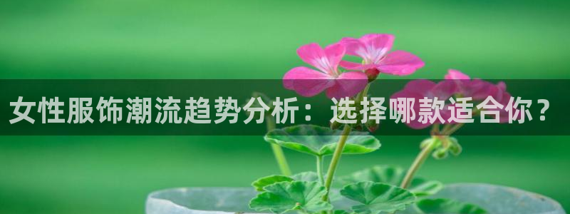 乐发lx平台