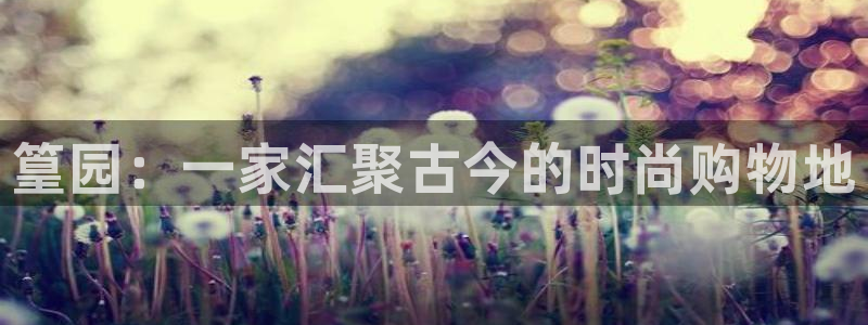 乐发平台怎么换邀请码