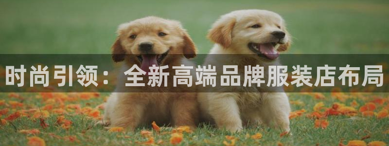 乐发lv官方平台：时尚引领：全新高端品牌