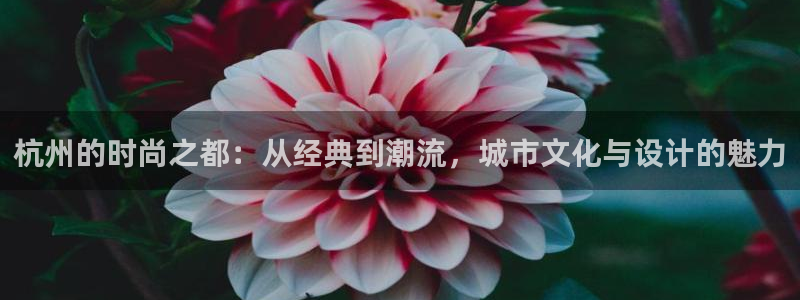 乐发ii彩票平台怎么样