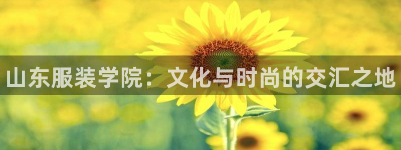 乐豪发官方娱乐平台