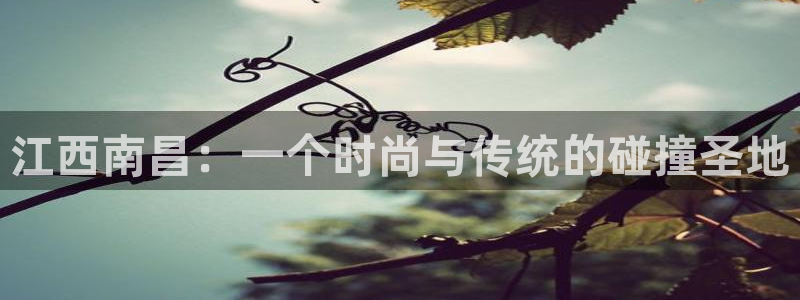 乐发是个什么软件平台