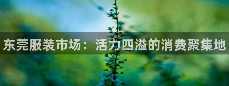 乐发彩票平台入口官网