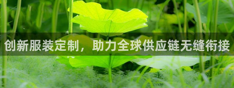 名发乐彩IV平台怎么样
