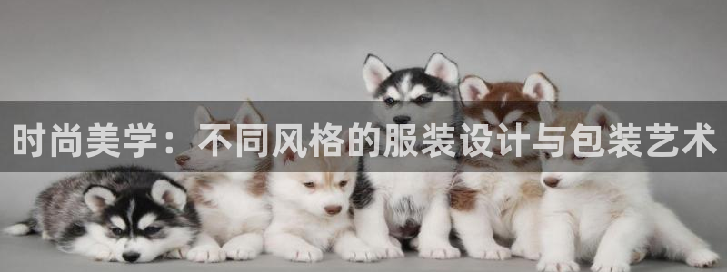 乐发彩票网平台带人玩的