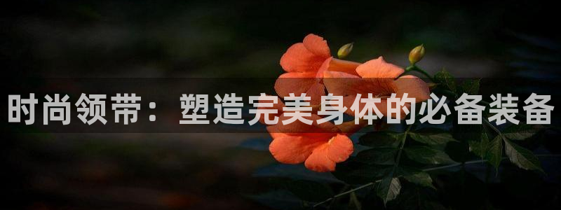 澳门乐发开户游戏平台