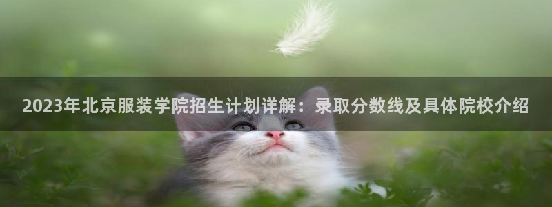 必乐2平台指尖发
