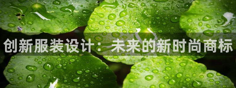 乐发平台棋牌
