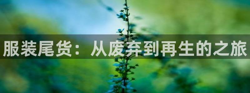 乐发平台赚钱技巧