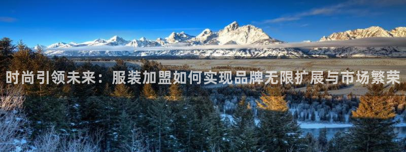 乐发II平台官方