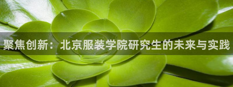 乐发平台金辉娱乐怎么样