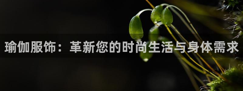 乐发app下载平台官网