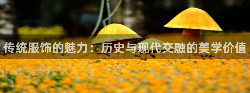 乐发传媒是什么平台