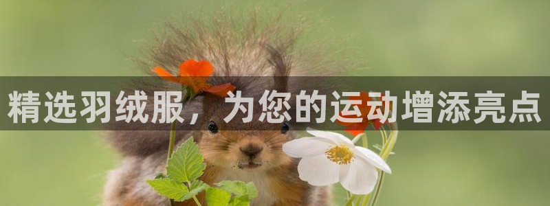 乐发彩票平台网址是什么