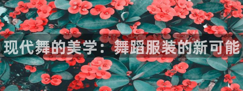 乐发 国际是不是黑平台