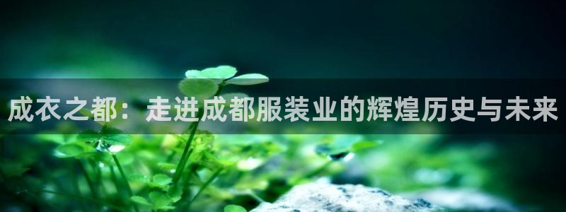 乐发传媒是正规平台吗