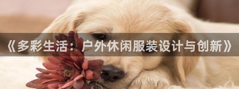 乐发彩票是什么平台