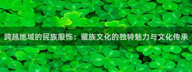 乐发分期是什么贷款平台