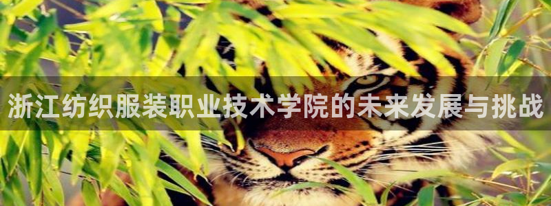 乐发第一娱乐平台邀请码