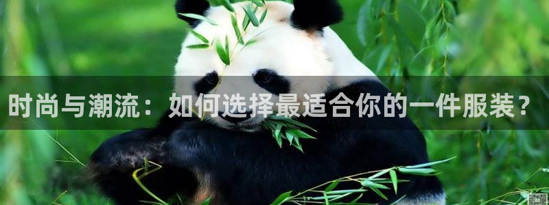 乐发III平台最新版本更新内容