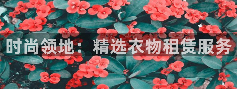 乐发vl彩票平台合法