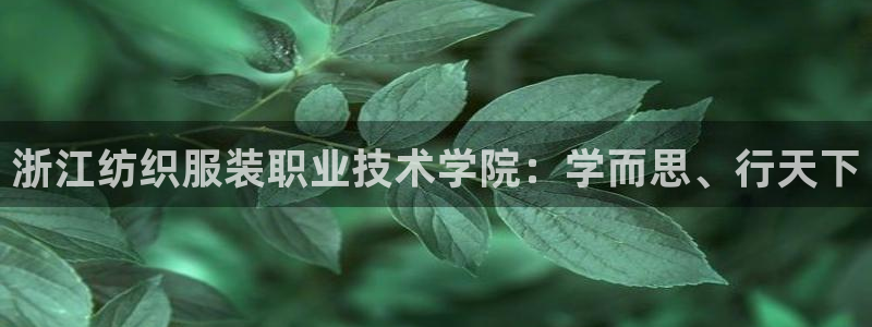 必发误乐黑平台