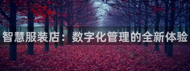 乐发彩票平台怎么样