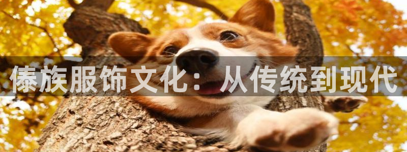 乐发平台邀请码怎么获取