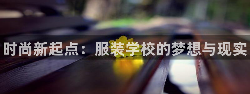 乐发平台为什么打不开了：时尚新起点：服装