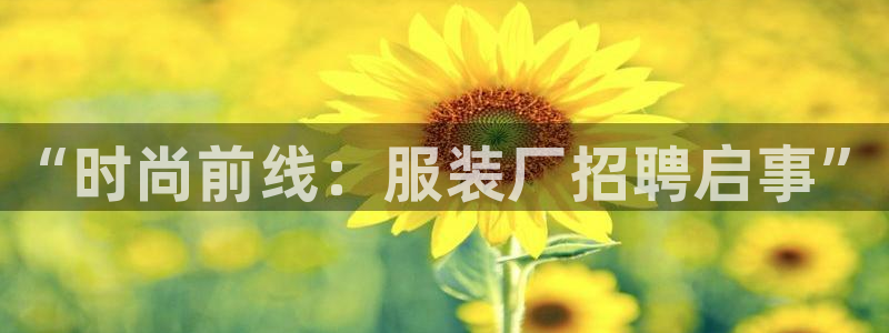 乐发区批发采购平台