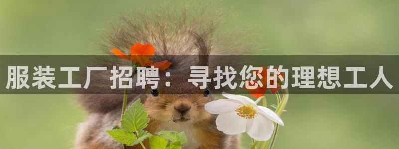 乐发邀请码平台有哪些