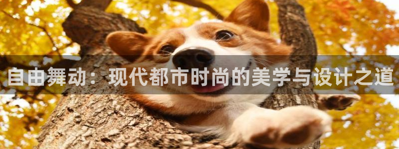 乐发平台邀请码是多少号