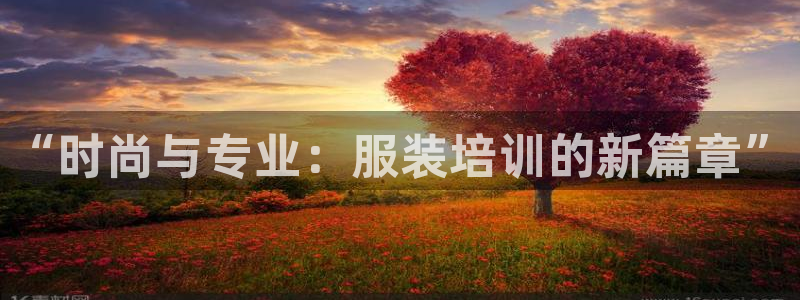 乐发大小单双平台