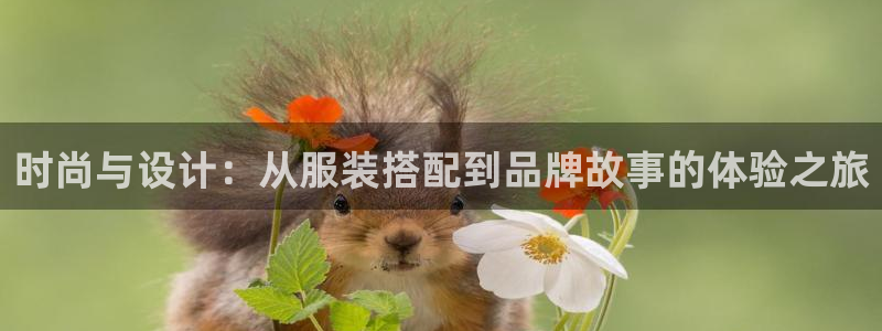 乐发平台注册资金多少