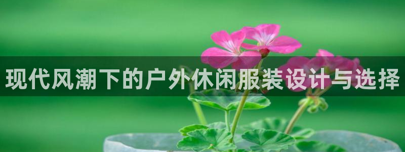 乐发体育平台官网下载