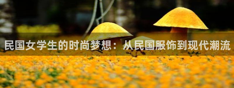 乐发旗下的平台有多少家