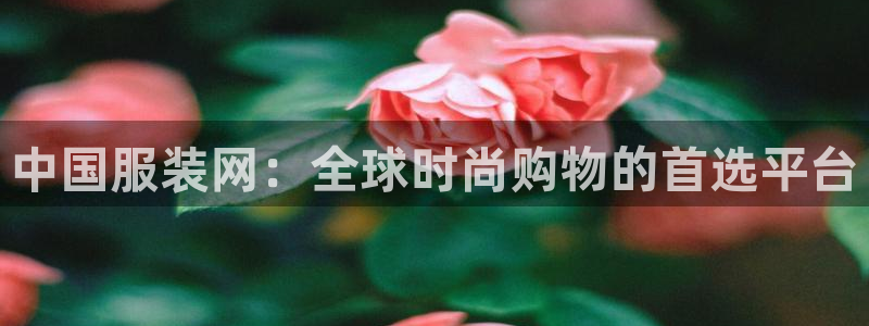 乐发稳平台邀请码