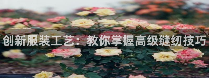 乐发大小单双平台