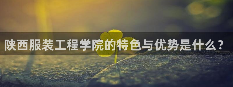 乐发1平台：陕西服装工程学院的特色与优势
